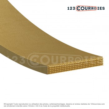 Le modèle de Courroie plate agrafable CP4-40-3000 - CP4-40-3000