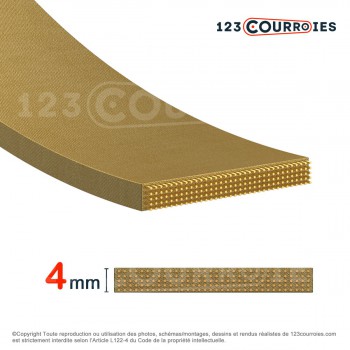 Le modèle de Courroie plate agrafable CP3-11-1000 - CP3-11-1000