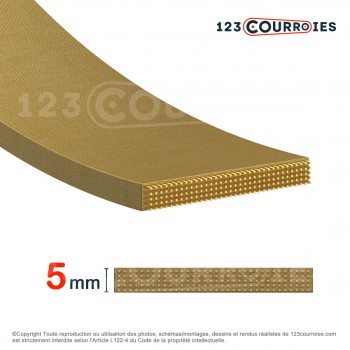 Le modèle de Courroie plate agrafable CP4-25-8000 - CP4-25-8000