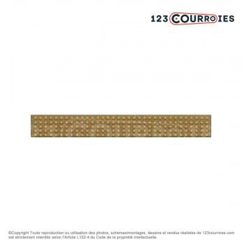 Le modèle de Courroie plate agrafable CP4-25-10000 - CP4-25-10000