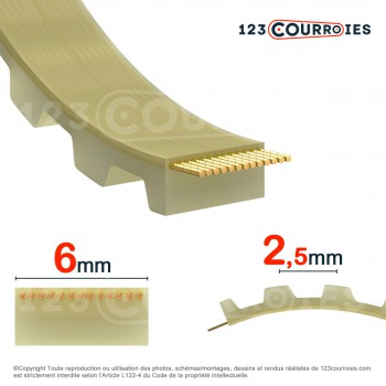 Le modèle de Courroie dentée ouverte 6T2,5-PUSTEEL - 6T2,5-PUSTEEL