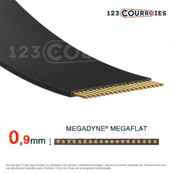 Le modèle de Courroie plate sans fin Megaflat T150-200-15-MEGADYNE - T150-200-15-MEGADYNE