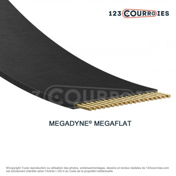 Le modèle de Courroie plate sans fin Megaflat T150-200-20-MEGADYNE - T150-200-20-MEGADYNE