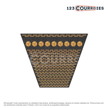 Le modèle de Courroie trapézoidale crantée Mégadyne Gold Label AX 4050 Ld / 13 x 4020 Li - AX158-MEGADYNE