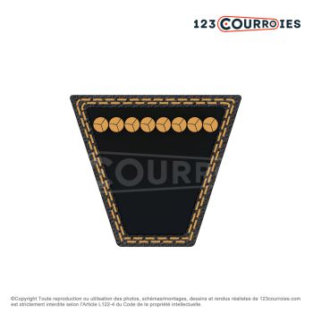 Le modèle de Courroie trapézoidale lisse Contitech Conti V B185 17 x 4699 Li / 4744 Ld - B185-CONTITECH