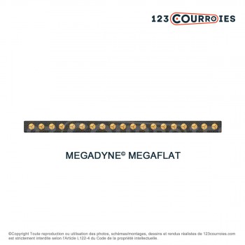 Le modèle de Courroie plate sans fin Megaflat T150-570-10-MEGADYNE - T150-570-10-MEGADYNE