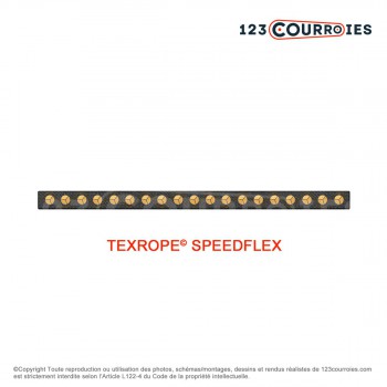 Le modèle de Courroie plate sans fin Speedflex T1-500-60-TEXROPE - T1-500-60-TEXROPE