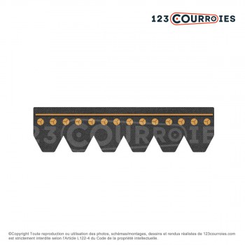 Le modèle de Courroie Poly-V striée automobile Contitech 3PK875 - 3PK875-AUTO-CONTITECH