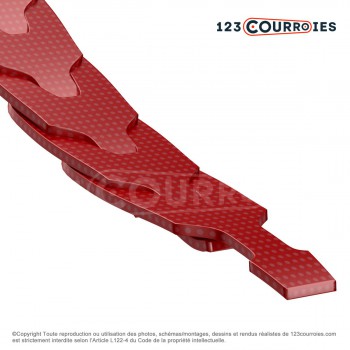 Le modèle de Courroie Agrafable profil CC (22 mm) TWIST-CC - TWIST-CC-FENNER