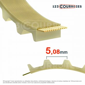 Le modèle de Courroie dentée en polyuréthane Optibelt Alpha torque 110XL075-PU - 110XL075-PU-OPTIBELT