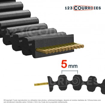 Le modèle de Courroie double dentée 640-D5M15 - 640-D5M15