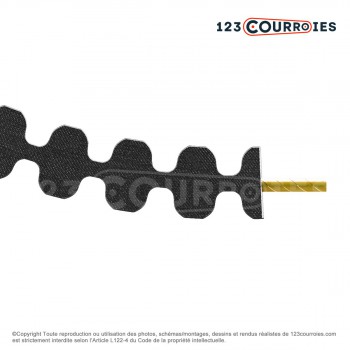 Le modèle de Courroie double dentée 1224-D8M50 - 1224-D8M50