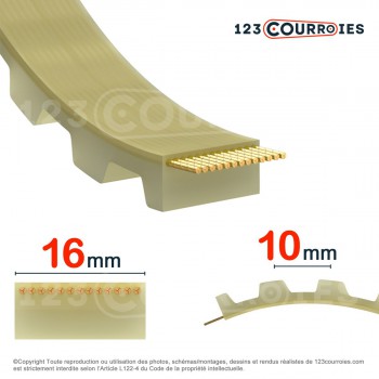 Le modèle de Courroie dentée ouverte 16T10-PUSTEEL - 16T10-PUSTEEL
