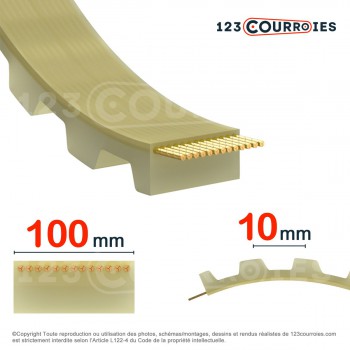 Le modèle de Courroie dentée ouverte 100T10-PUSTEEL - 100T10-PUSTEEL