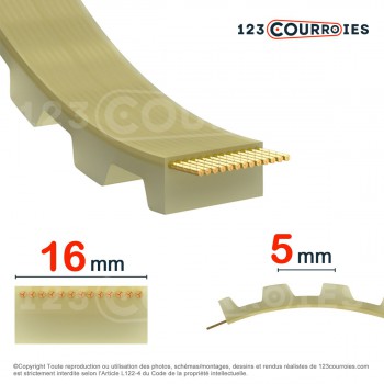 Le modèle de Courroie dentée ouverte 16AT5-PUSTEEL - 16AT5-PUSTEEL