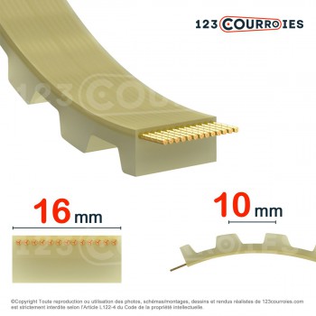 Le modèle de Courroie dentée ouverte 16AT10-PUSTEEL - 16AT10-PUSTEEL