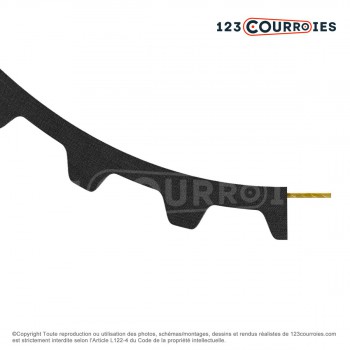 Le modèle de Courroie dentée Mégadyne Isoran 3704MXL019 - 3704MXL019-MEGADYNE
